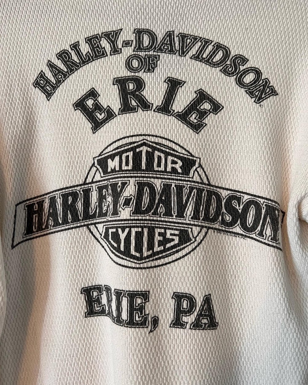 Vintage ‘92 Holoubek Harley Davidson Thermal (L)