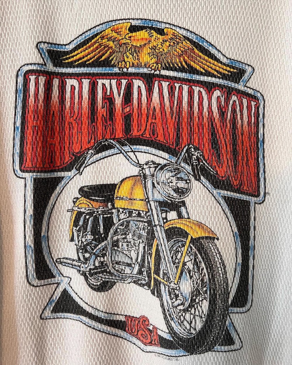 Vintage ‘92 Holoubek Harley Davidson Thermal (L)