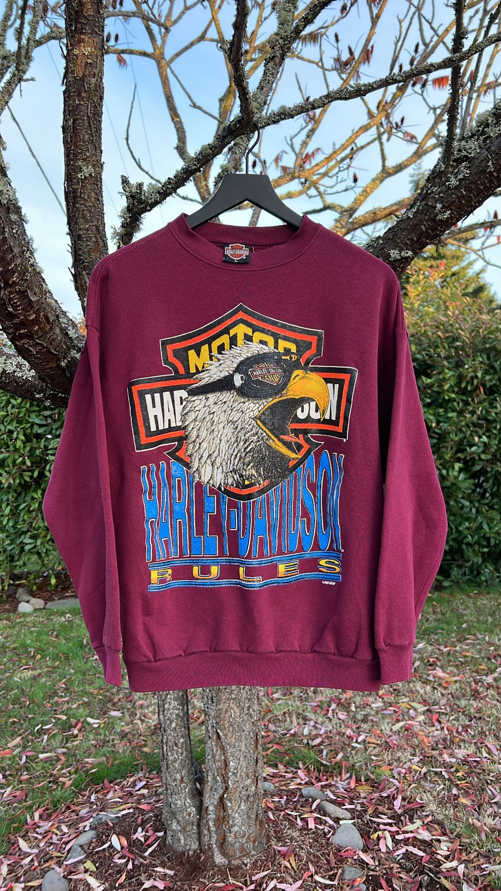 Vintage Harley Rules Screamin’ Eagle Sweatshirt (L)