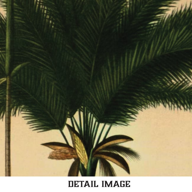 Palm trees of South America | Retro Tropical Print | Palm tree Poster | Vintage Forest Landscape
