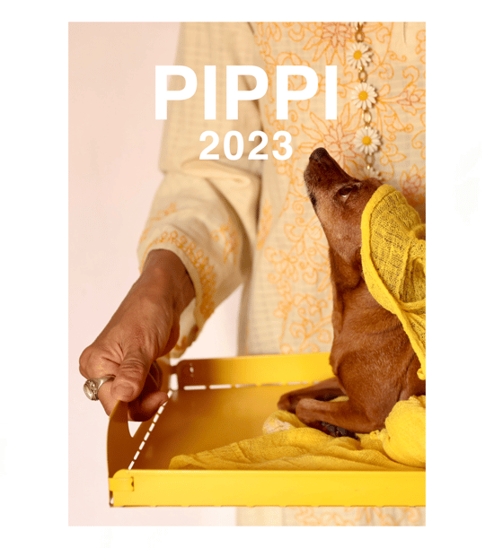 Image of Calendario PIPPI A4