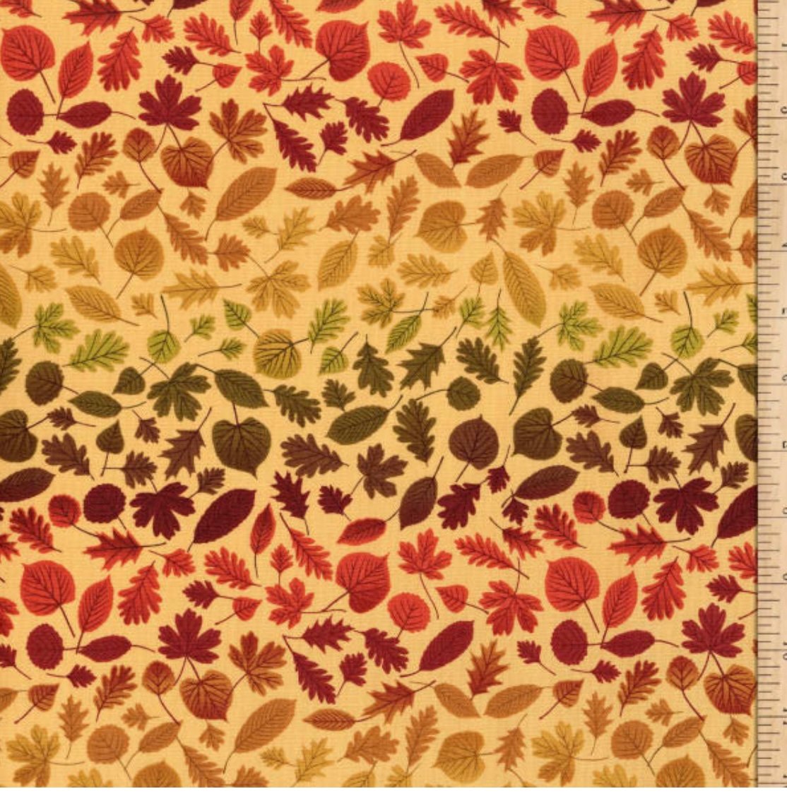 Image of A Winter Nap Rainbow Leaves Dark Honey Shade 30cm