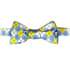 Yellow/Blue Bow Tie