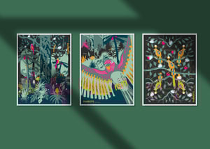 Parrots 03