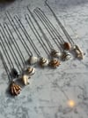 Shell Pendant Necklaces