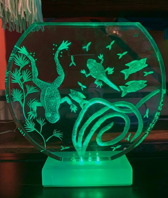Image of Fishbowl Light Up Lamps (Green Frog or Pink Fish)