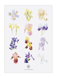 Image 3 of Iris calendar 2023