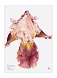 Image 5 of Iris calendar 2023