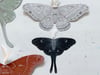 Hand-Drawn Moth Bookmarks