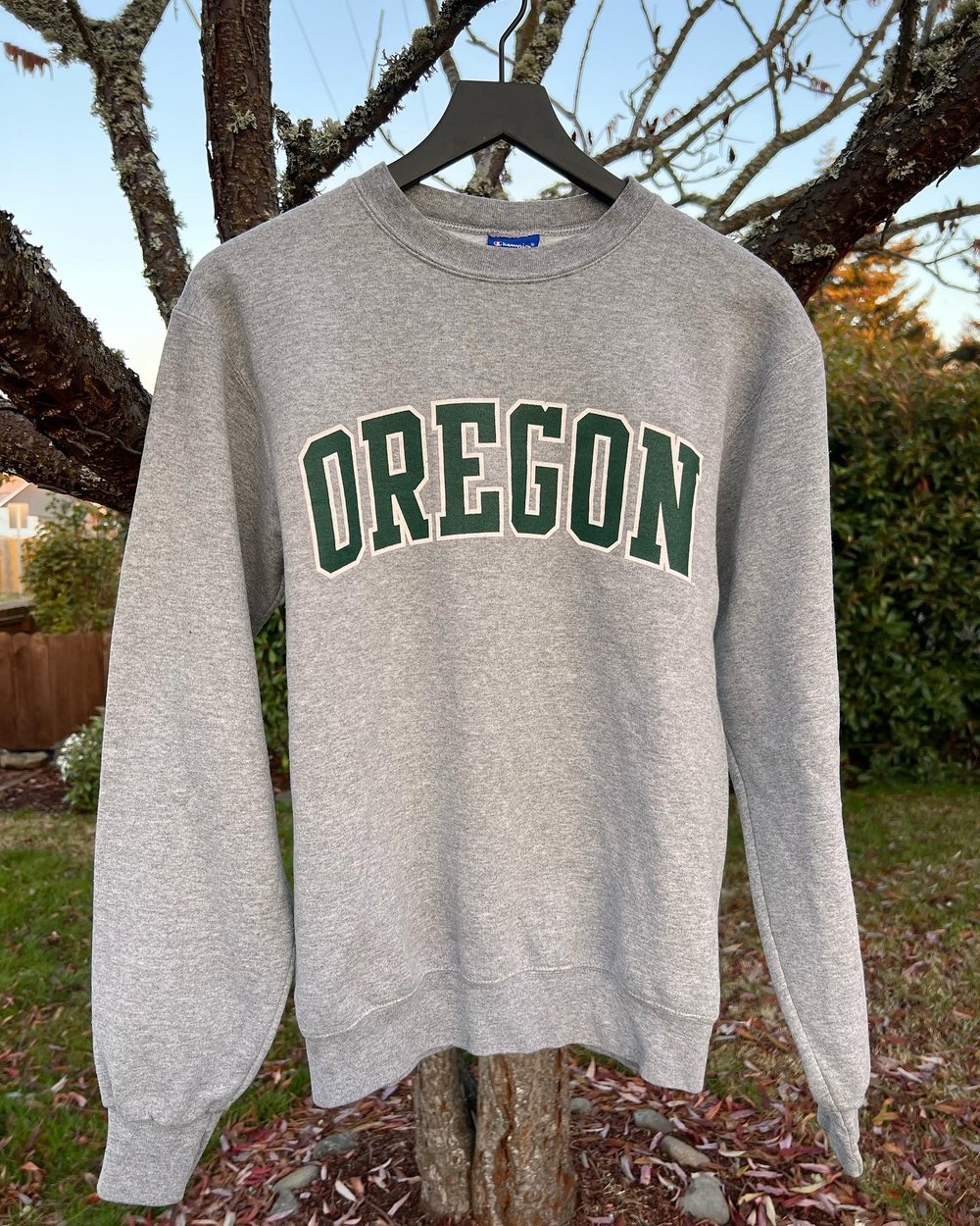 Vintage Oregon Champion Sweatshirt (S)