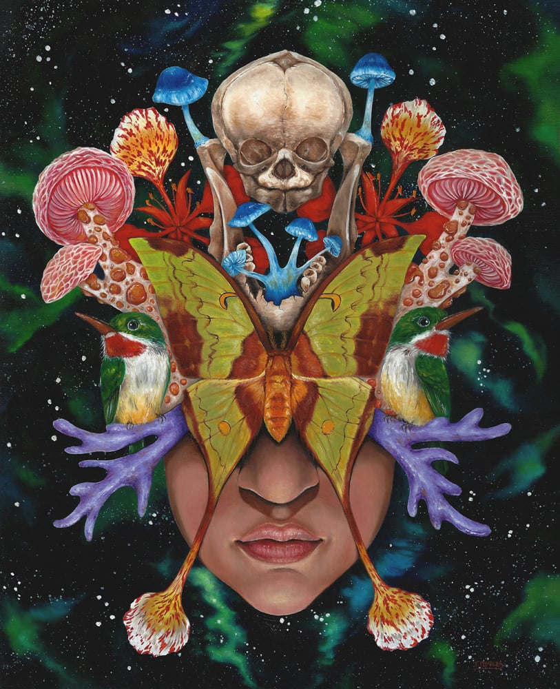 I Preserve Wonder Limited Edition Print Tania Pomales Art