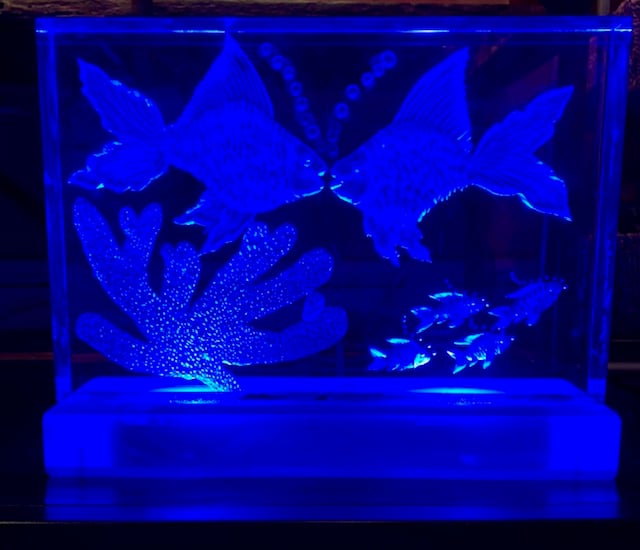 Image of Light Up Lucite Aquariums