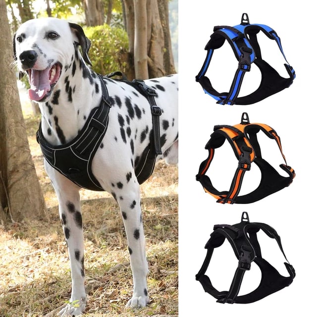 Image of Dog Haness
