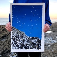 Image 2 of The birds soared up to keep the early moon company