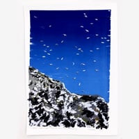 Image 1 of The birds soared up to keep the early moon company