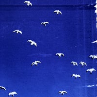 Image 5 of The birds soared up to keep the early moon company