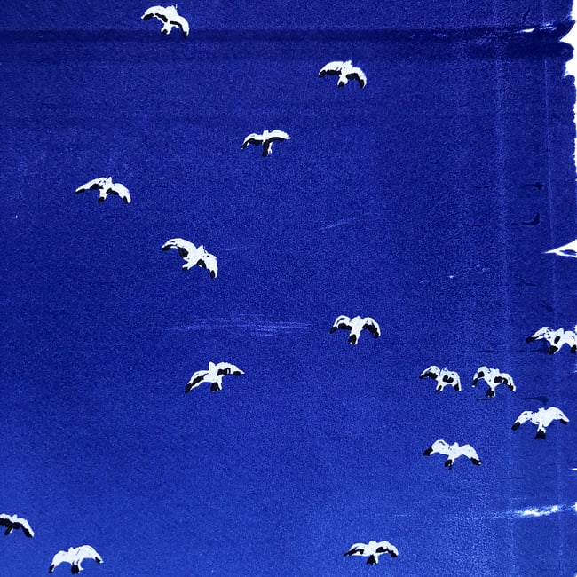 The birds soared up to keep the early moon company