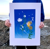 Image 2 of Spirals, beautiful ordinary 2