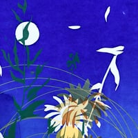 Image 3 of Spirals, beautiful ordinary 2