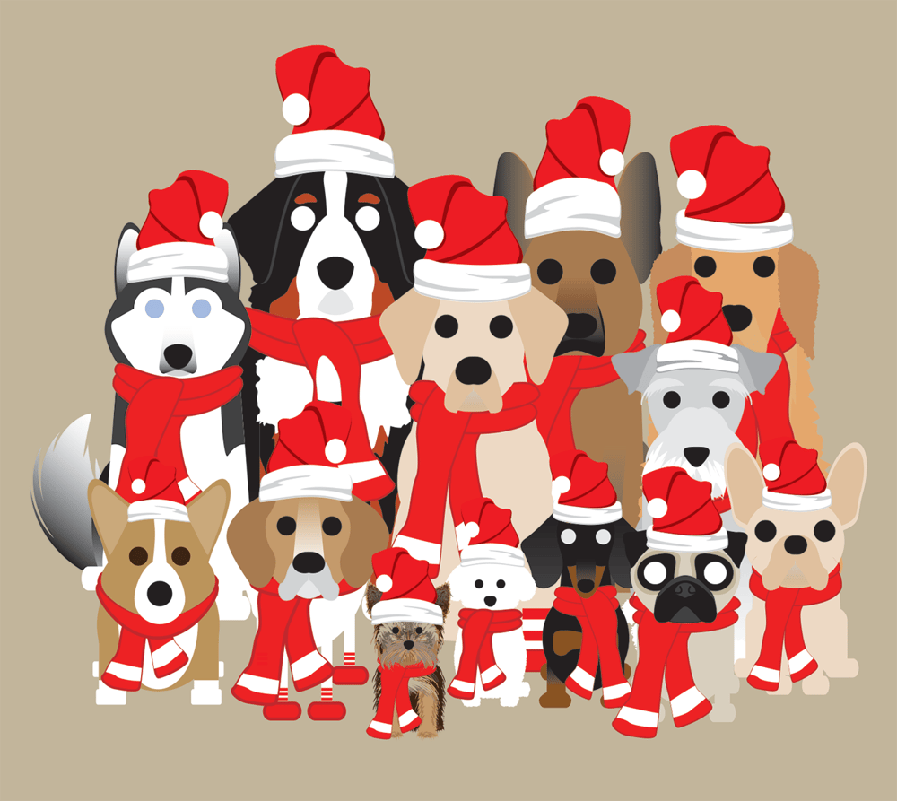 Holiday Cats and Dogs