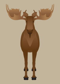 Image 1 of Moose Collection