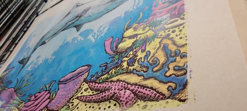 Image of Shark on the Reef