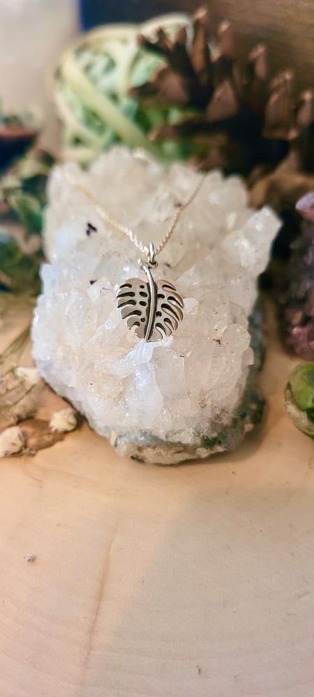 Image of Monstera Leaf Cutout