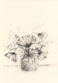 Vase of cosmos no. 1