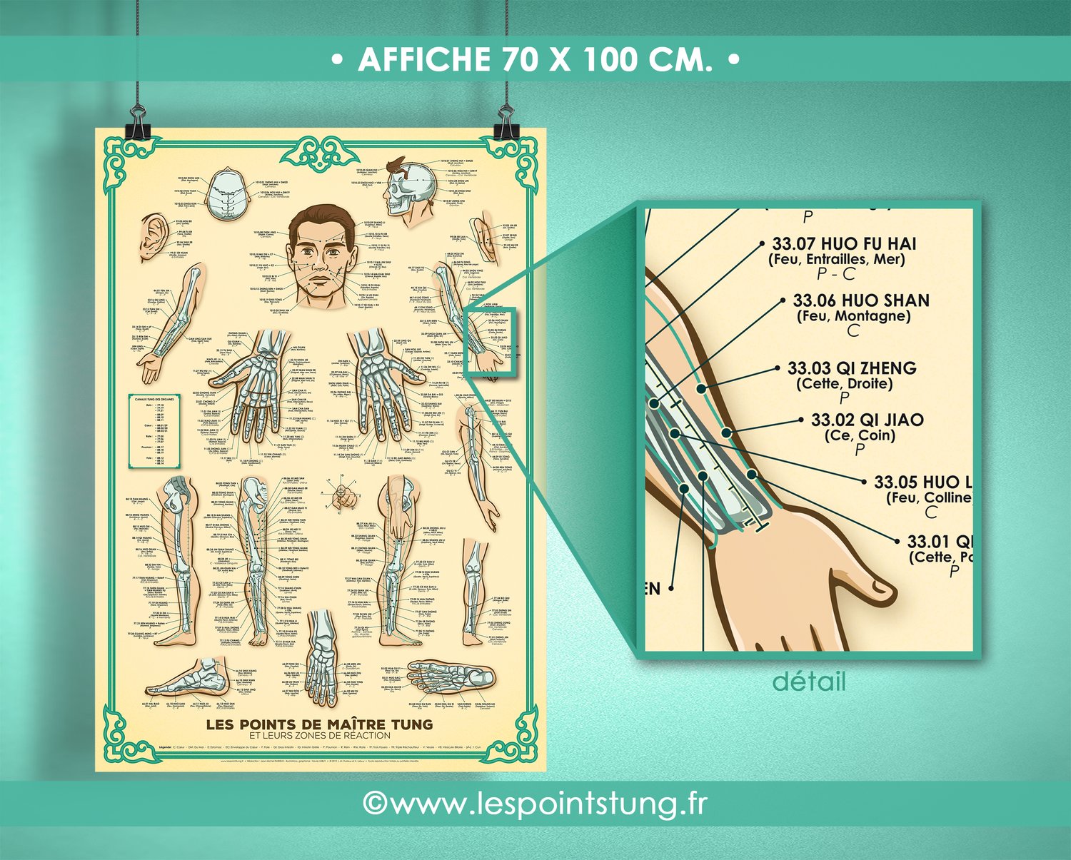 Image of Affiche 70x100cm • Les Points Tung et leurs zones de réaction en français