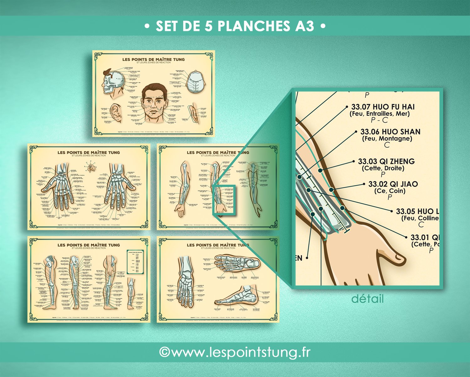 Image of Set de 5 planches A3 • Les Points Tung et leurs zones de réaction en français