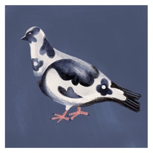 Image of Very Fancy Pigeon