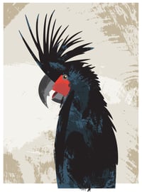 Palm Cockatoo Canvas Print