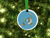 Christmas Ornament for Flat Earth
