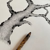 Image 5 of Autumn Tree