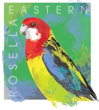 Eastern Rosella Canvas Print