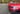 Del Sol Headlight Duct