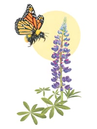 Image 2 of Thomas Turner