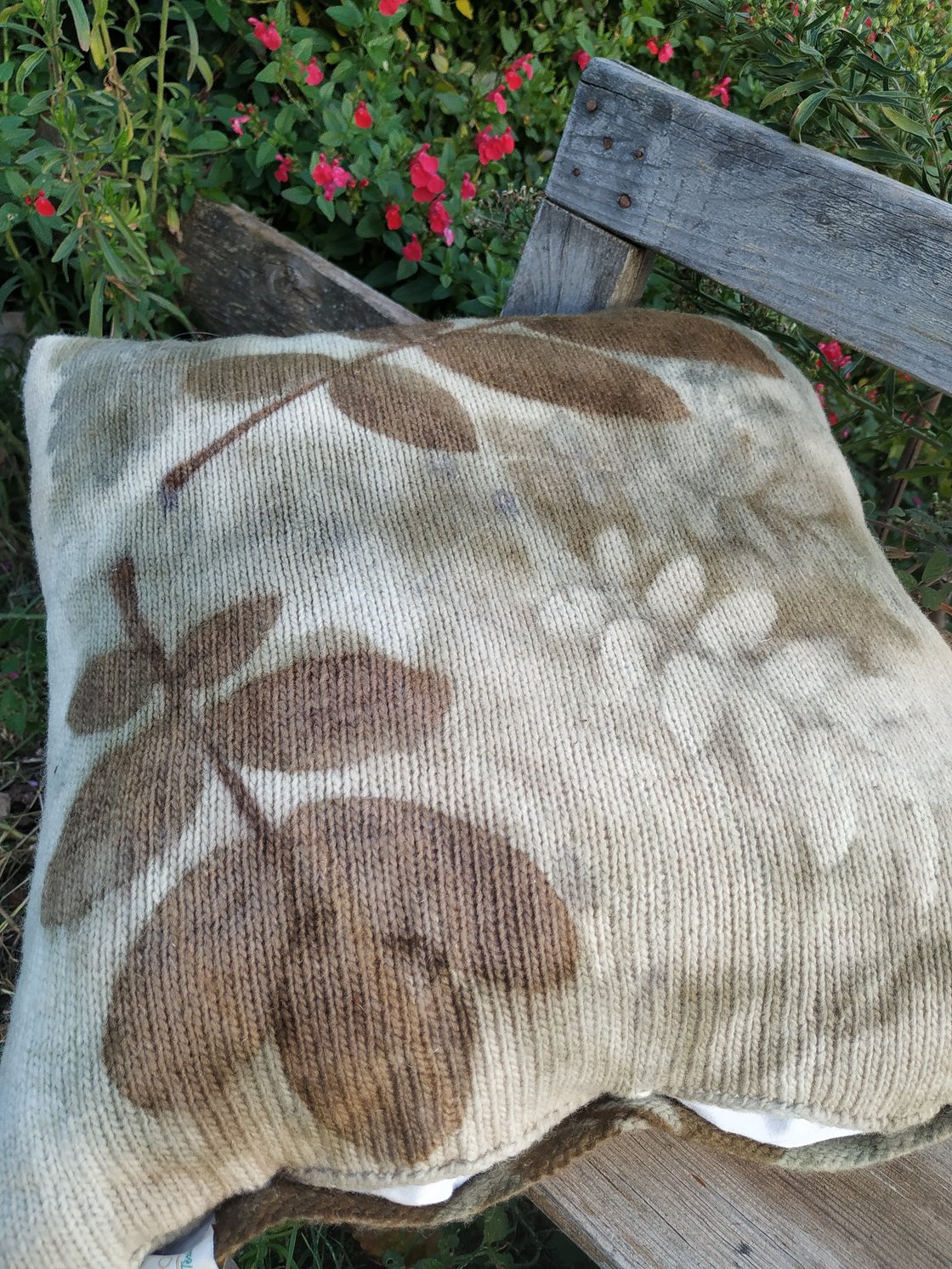 Image of Coixí aranès