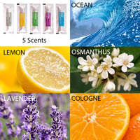 Image 2 of CAR INTERIOR AIR FRESHENER CAPSULES/ LEMON