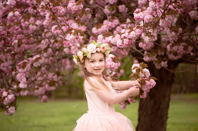 Pink Tree Sessions