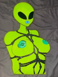 Image 1 of Shibari Alien
