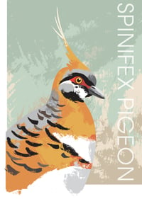 Spinifex Pigeon Giclée print