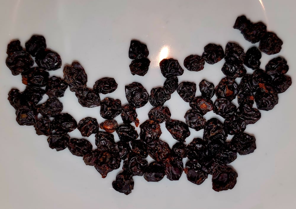 SEEDED Raisins & Grapeseed Powders. Pathogen Protection-Nerves-Cardiovascular-Veins-Circulation