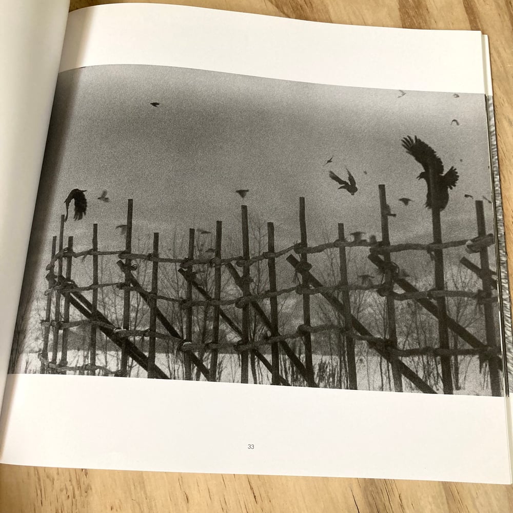 Masahisa Fukase - The Solitude Of Ravens (1st U.S)