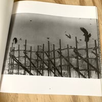 Image 4 of Masahisa Fukase - The Solitude Of Ravens (1st U.S)