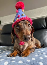 Image 1 of Crochet Party Hat Photo Prop