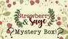 ❔ Mystery Box! ❔