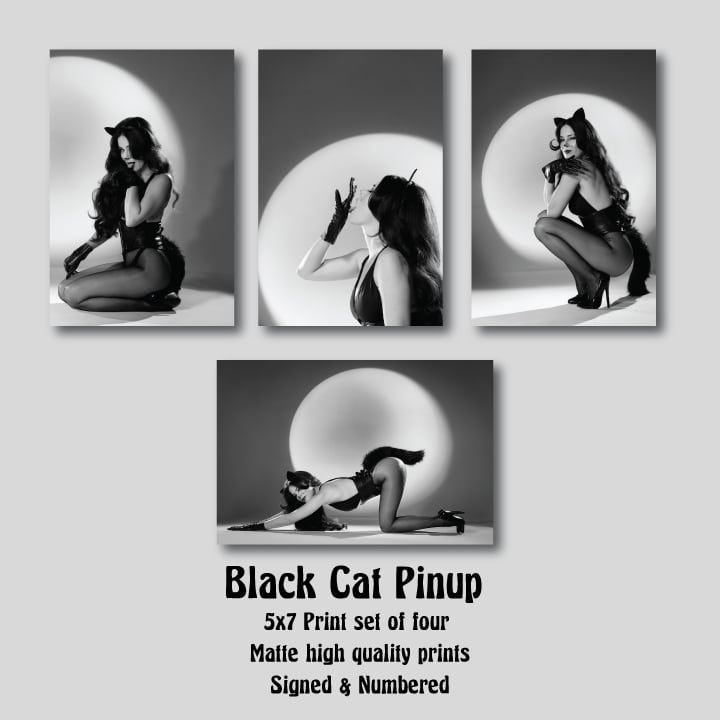 Image of Black Cat Pinup print set