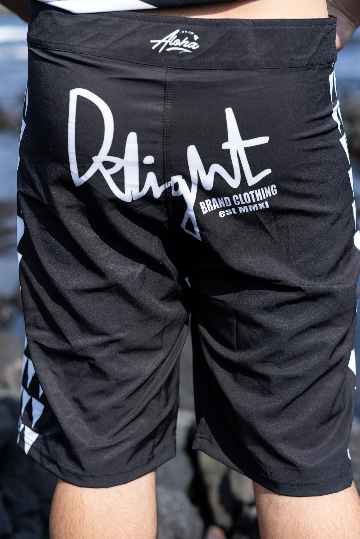 Delight HI Old English/Flag 4-Way-Stretch Board Shorts