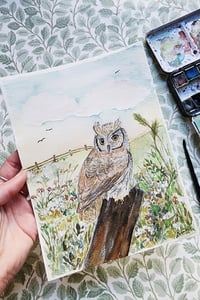 Image 1 of Meadow Owl | Original 6x8 Watercolor Painting or Fine Art Print